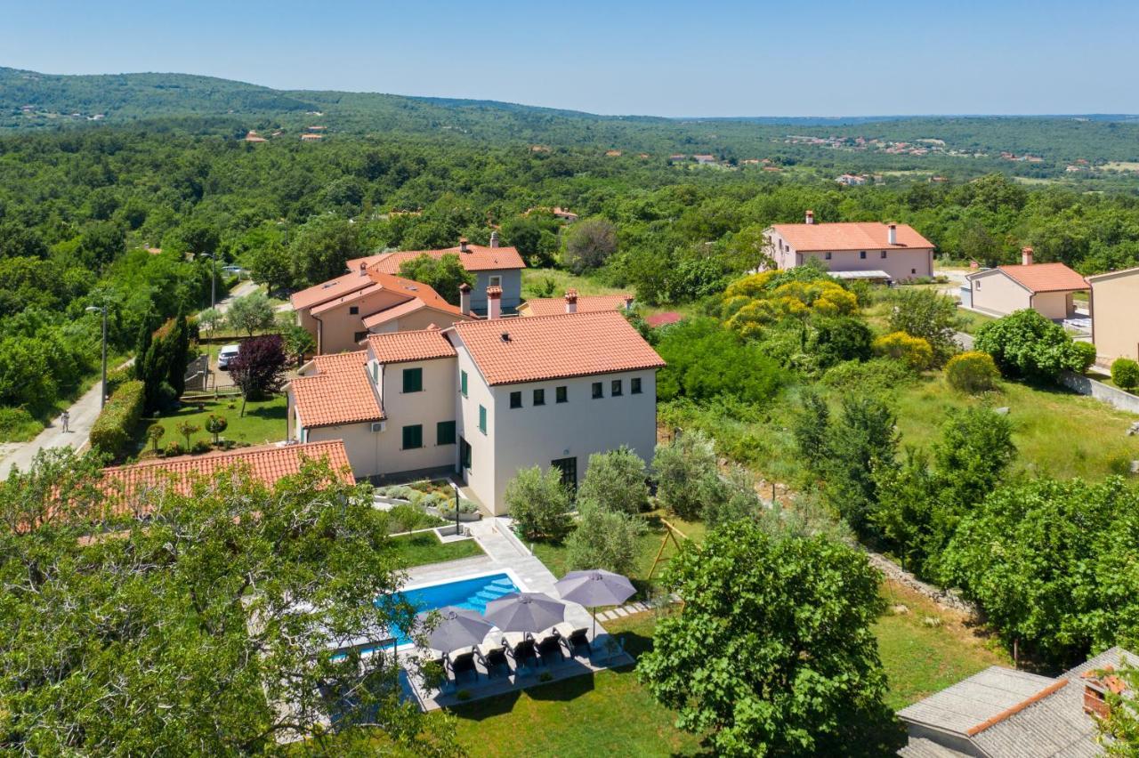 Holiday House Olive Grove With Pool And Garden Labin  Exterior foto